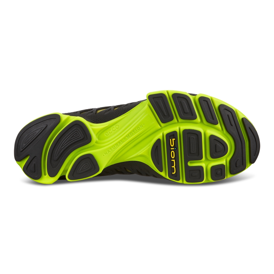 Melns Biom Aex M Ecco Lv