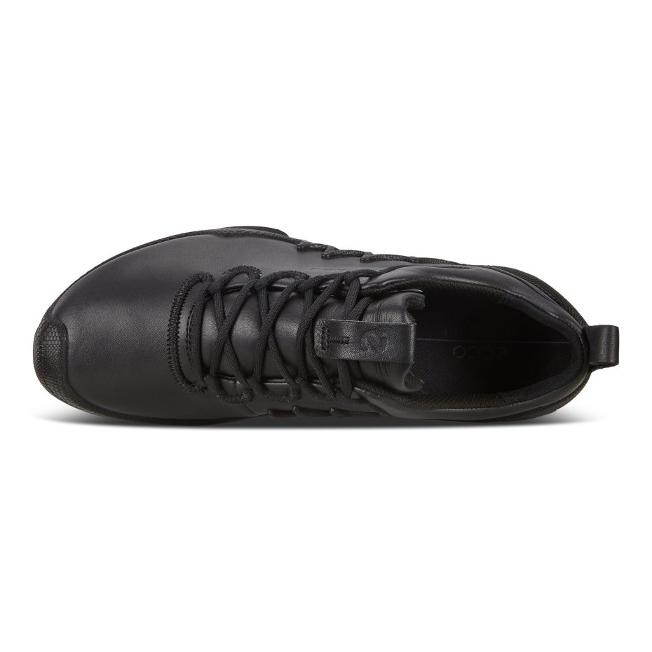 Melns Biom Aex W Ecco Lv