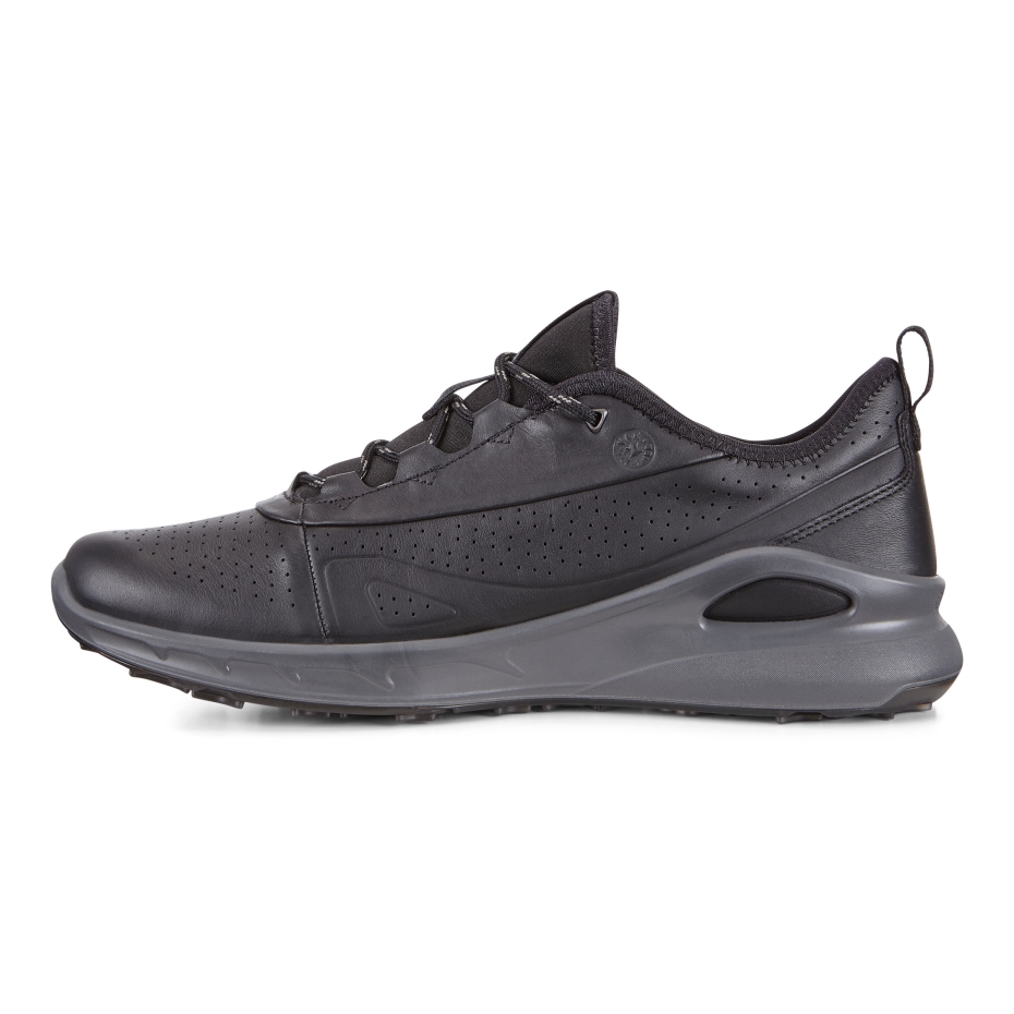 Black Ecco Biom Omniquest Lv