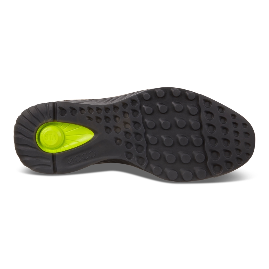 Melns Ecco St.1 Hibrīds Lv