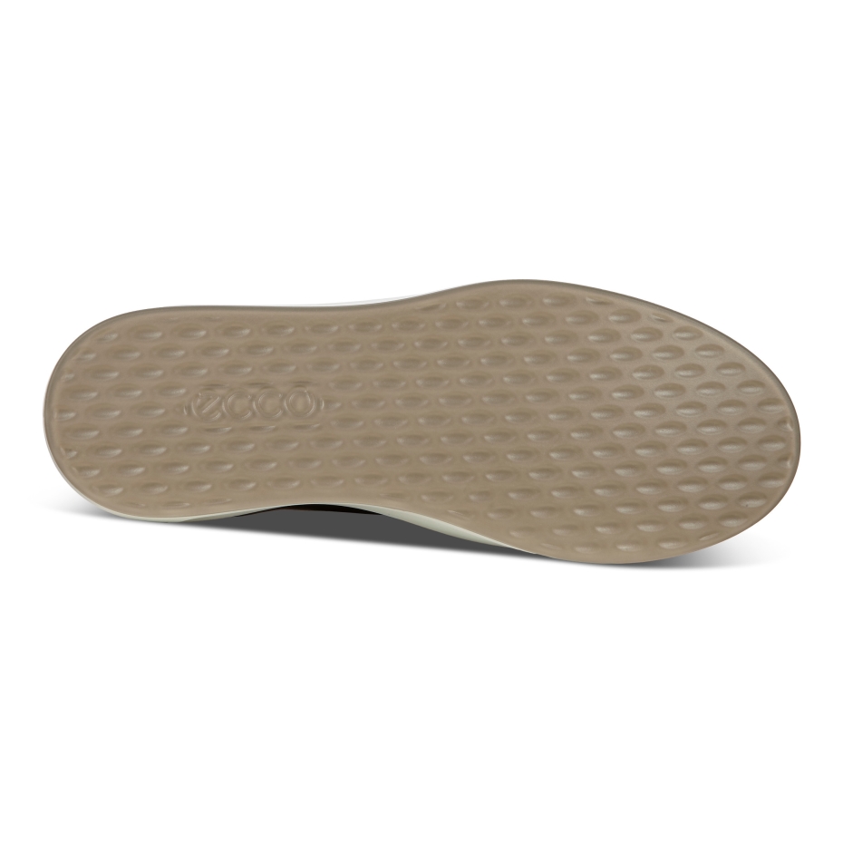 Melns Ecco Soft 8 W Dritan Lv