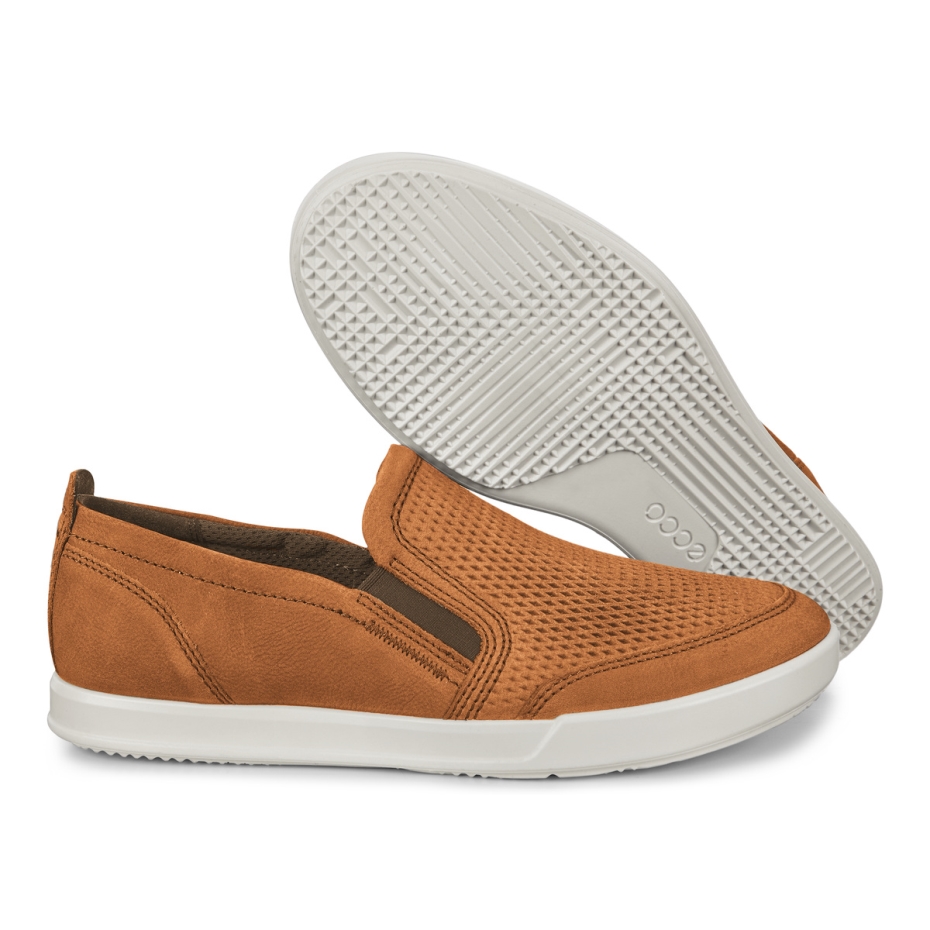 Camel Collin 2.0 Ecco Lv