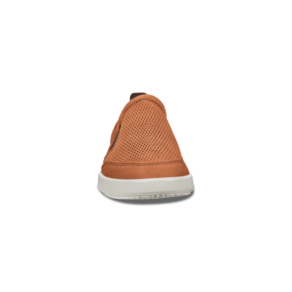 Camel Collin 2.0 Ecco Lv