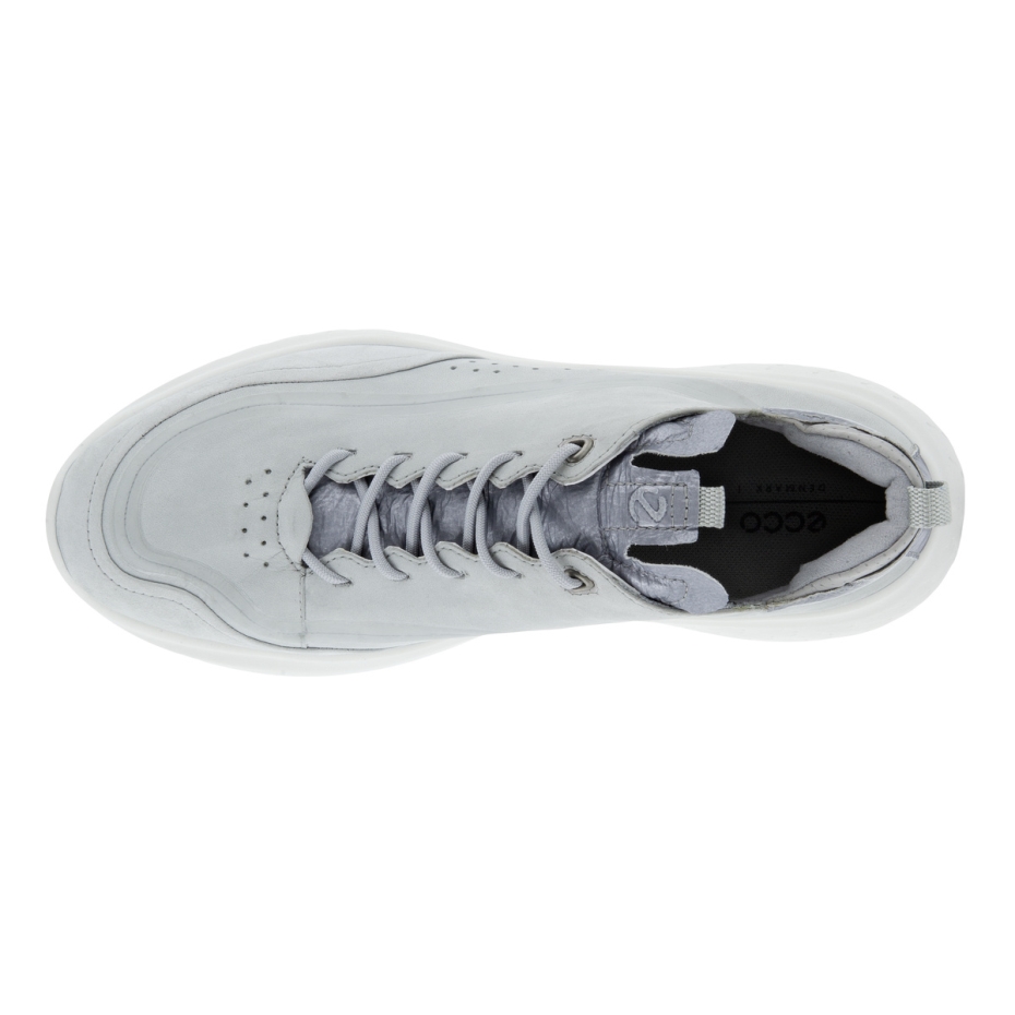 Betona Terapija W Ecco Lv