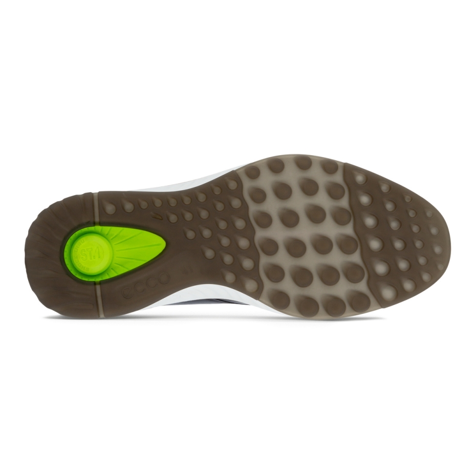 Ecco Magnēts St.1 Hibrīds Lv