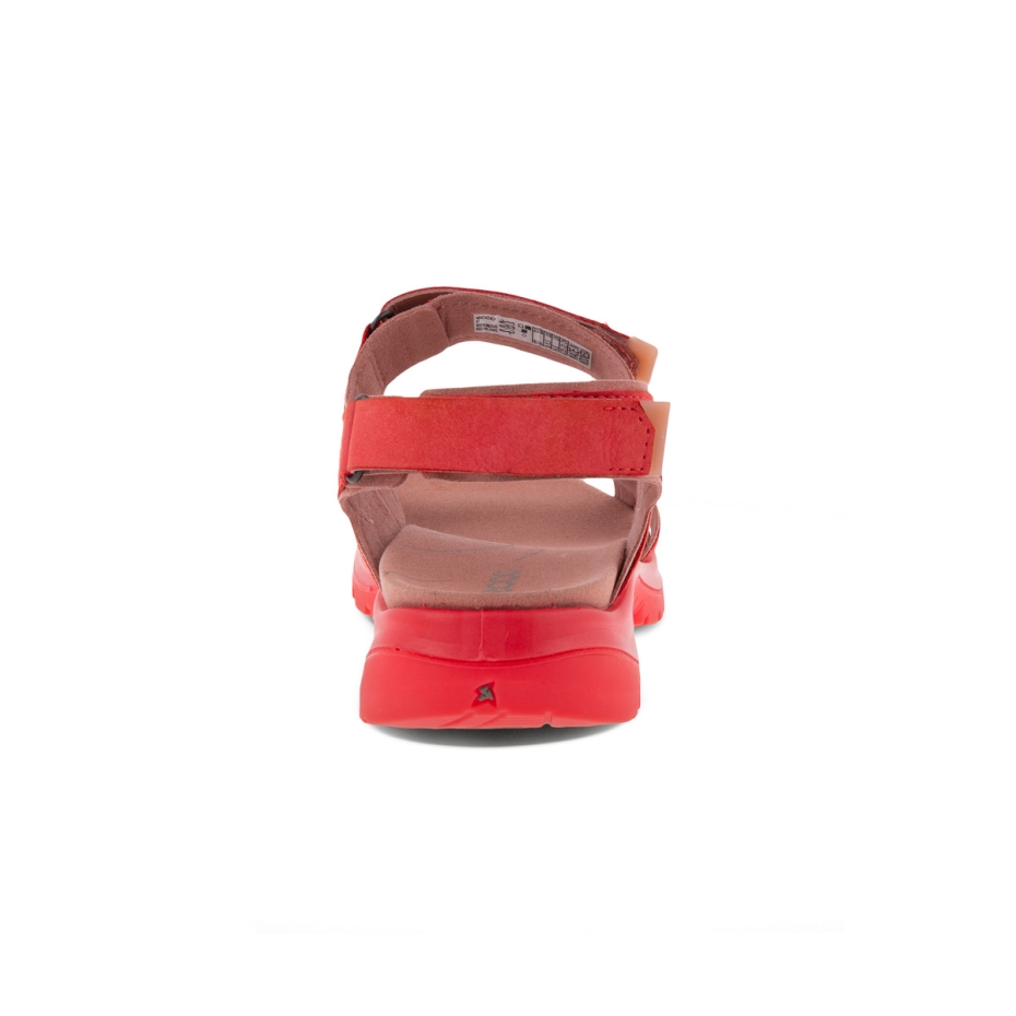 Ecco Offroad Hibiscus Lv