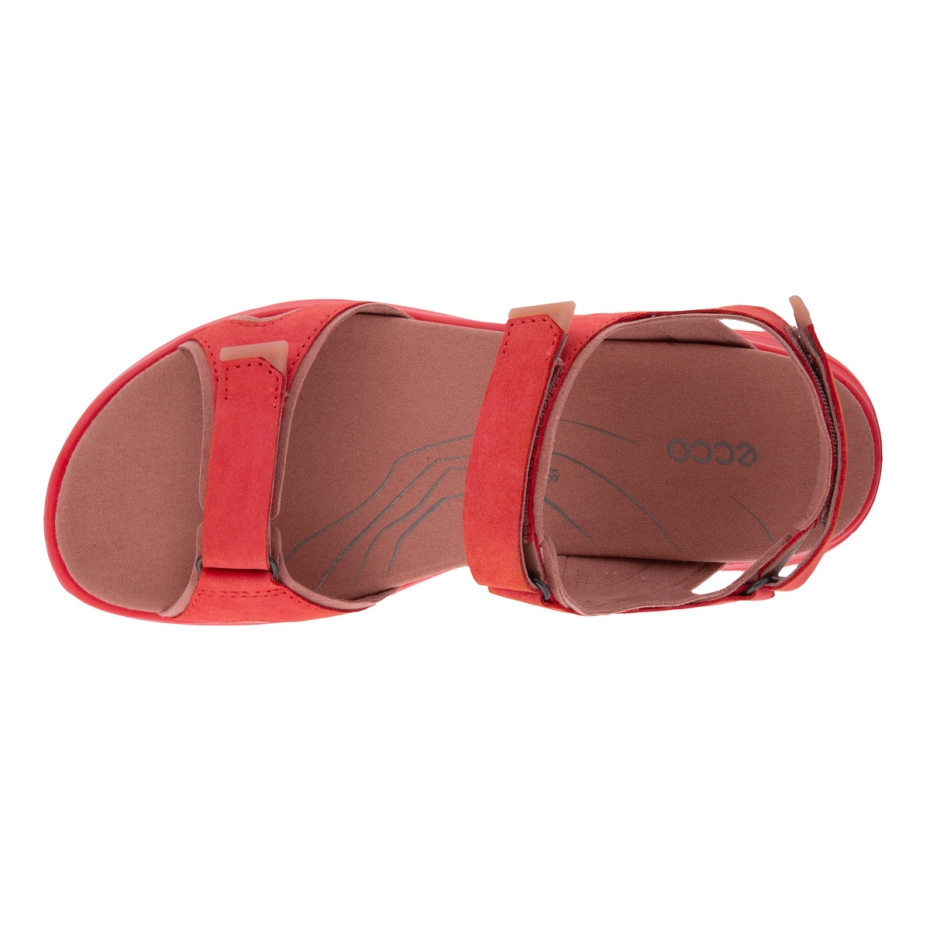 Ecco Offroad Hibiscus Lv