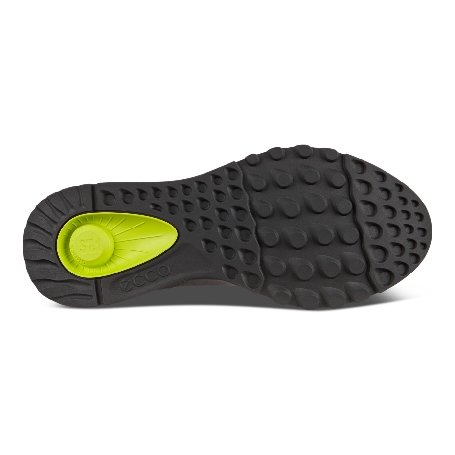 Exostride M Titanium Ecco Lv