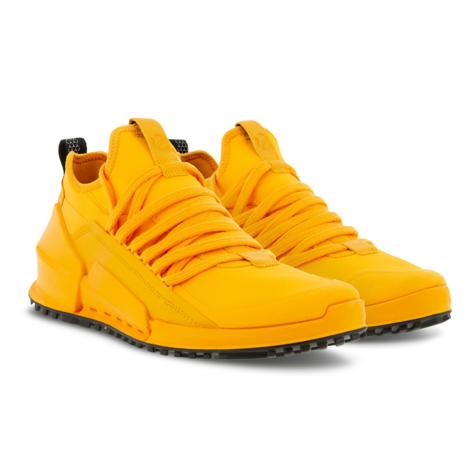 Fanta šeit Biom 2.0 M Lv