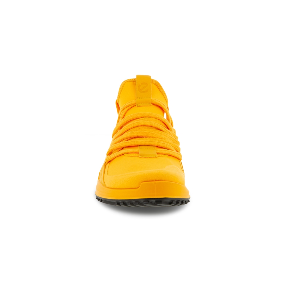 Fanta šeit Biom 2.0 M Lv