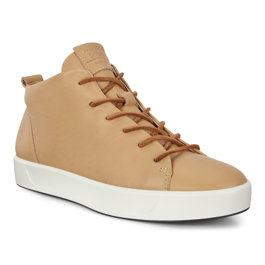 Mīkstais Piens 8 W Dritan Ecco Lv