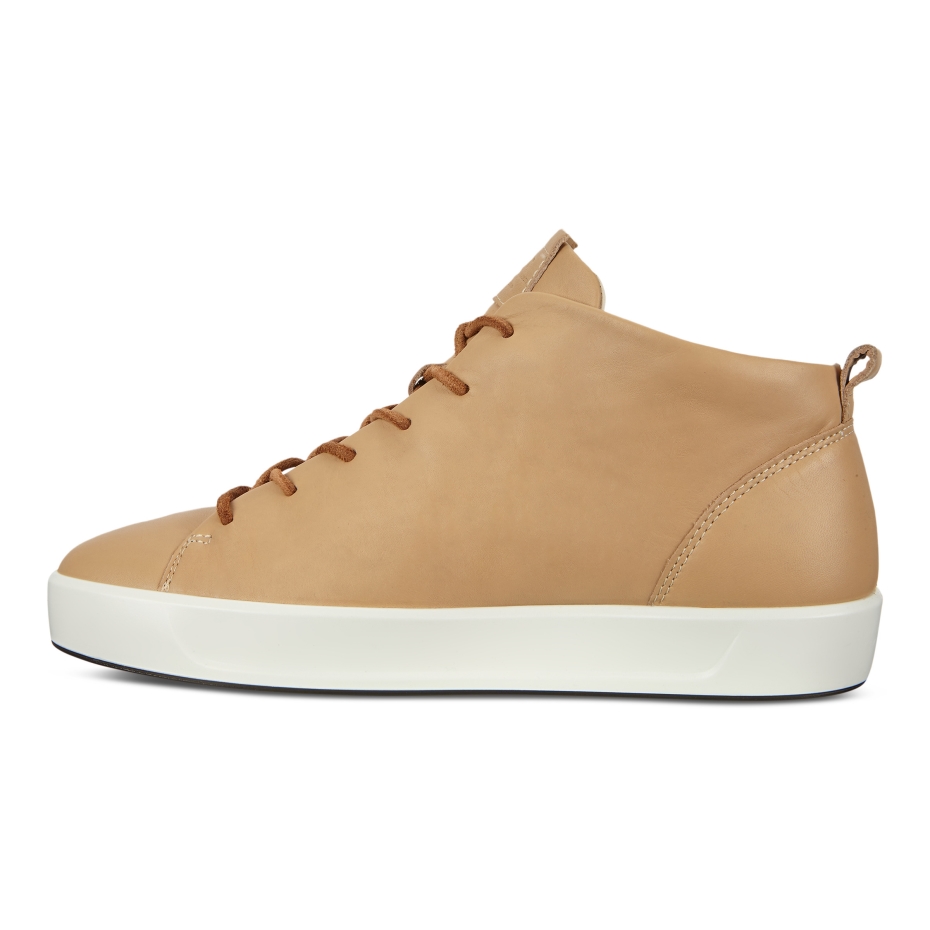 Mīkstais Piens 8 W Dritan Ecco Lv