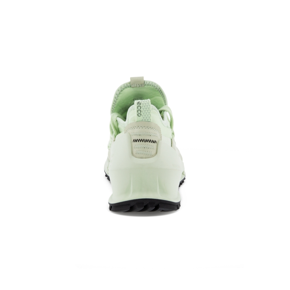 Matcha Ecco Biom 2.0 W Lv