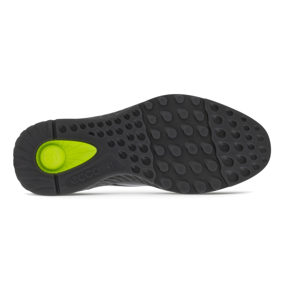 Mocha Ecco St.1 Hibrīds Lv