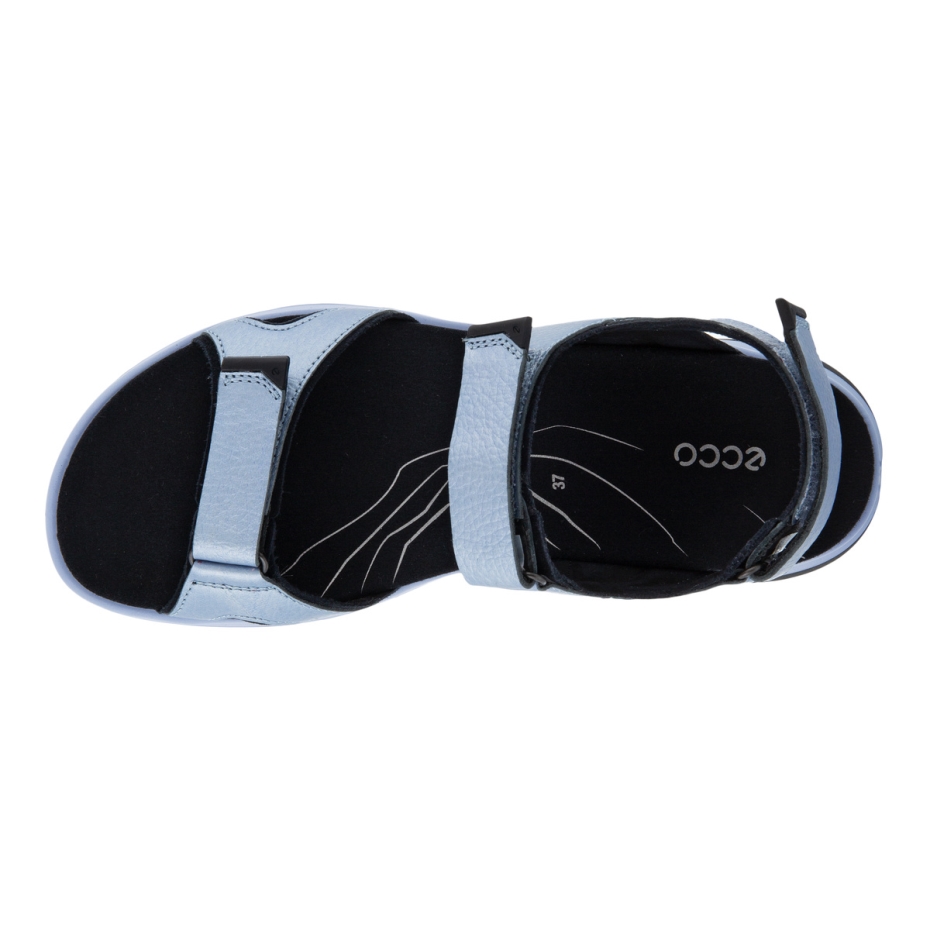 Offroad Eventide Ecco Lv