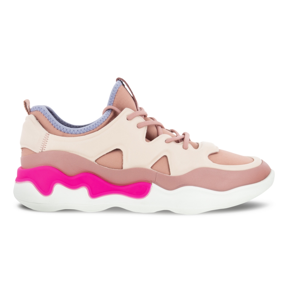 Rose Elo W šeit Ir Lv