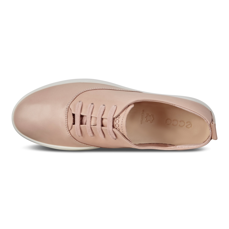 Rožu Atpūta šeit Ir Lv