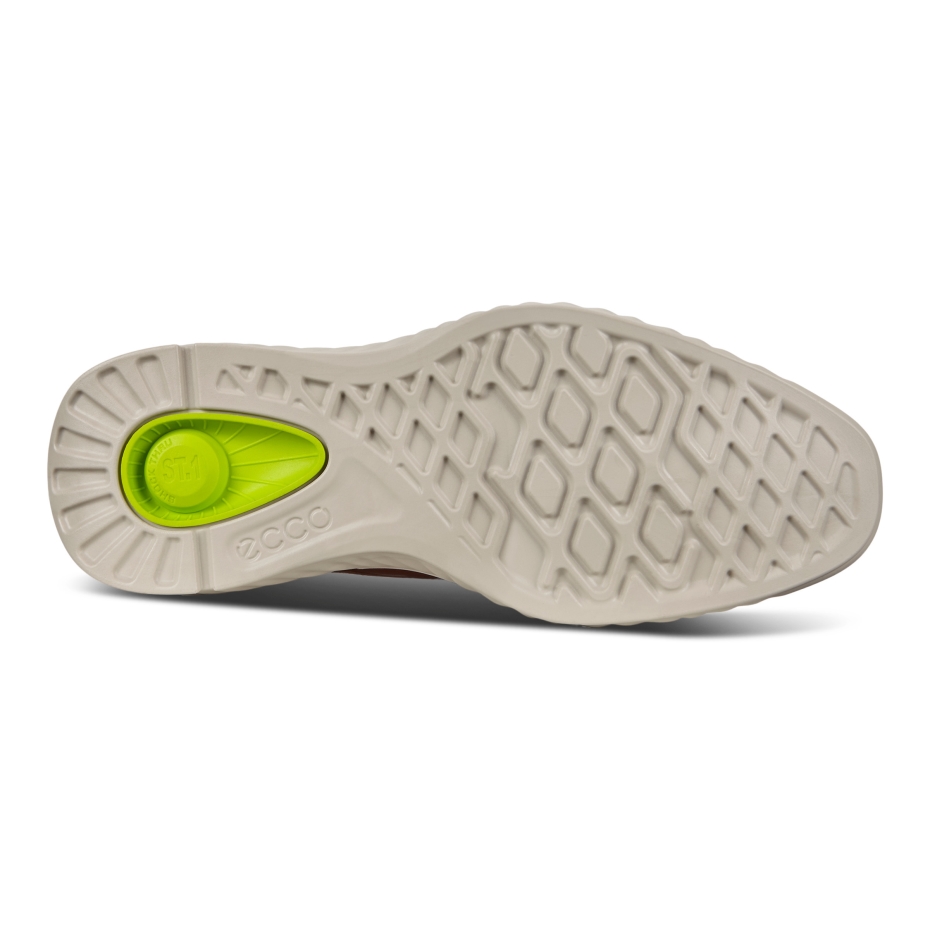 St.1 Hybrid Lite Amber Ecco Lv