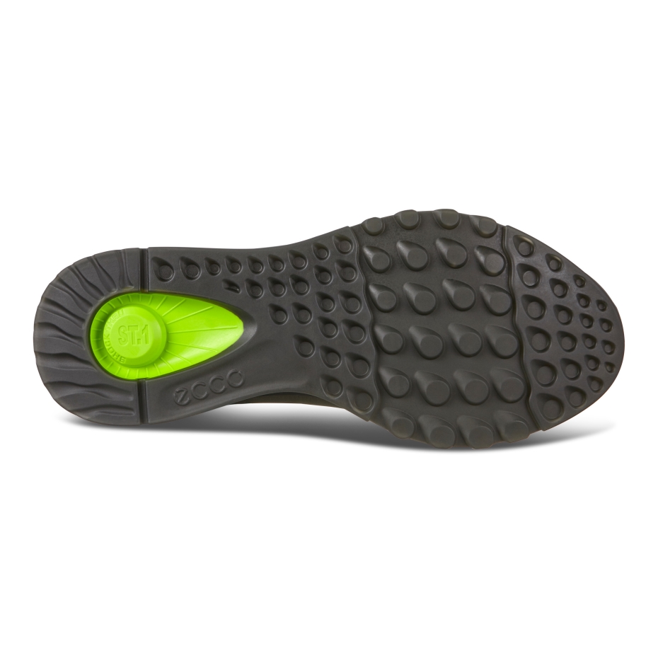 St.1 M Ecco Forest Lv