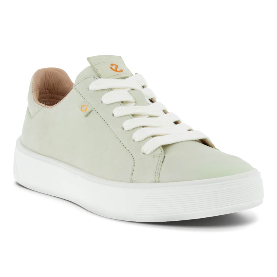 Ielu Paplāte Plus Ecco Matcha Lv