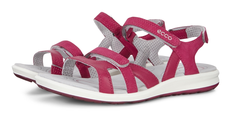 Sangria Ecco Kruīzs Ii Lv