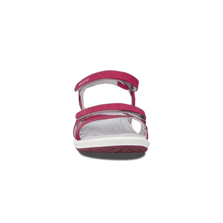 Sangria Ecco Kruīzs Ii Lv