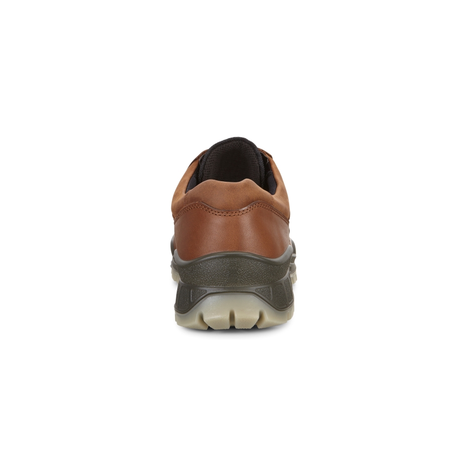 Trase 25 Bizons Ecco Lv