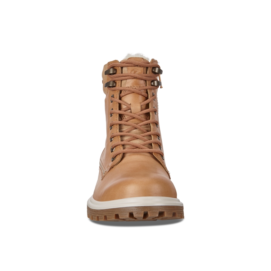 Tredtray W Ecco Volluto Lv