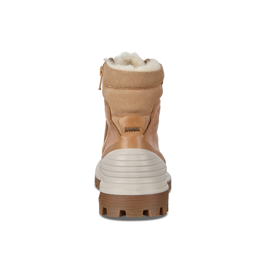 Tredtray W Ecco Volluto Lv