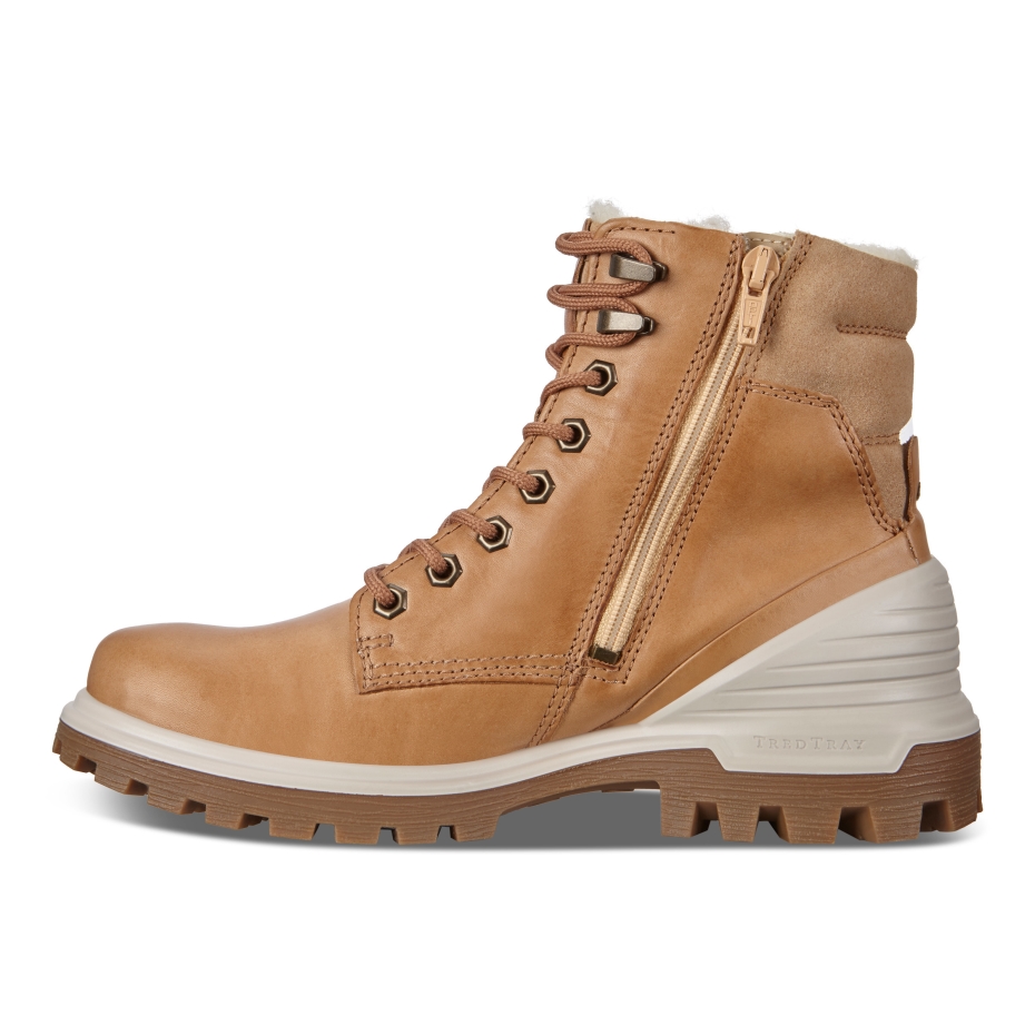 Tredtray W Ecco Volluto Lv