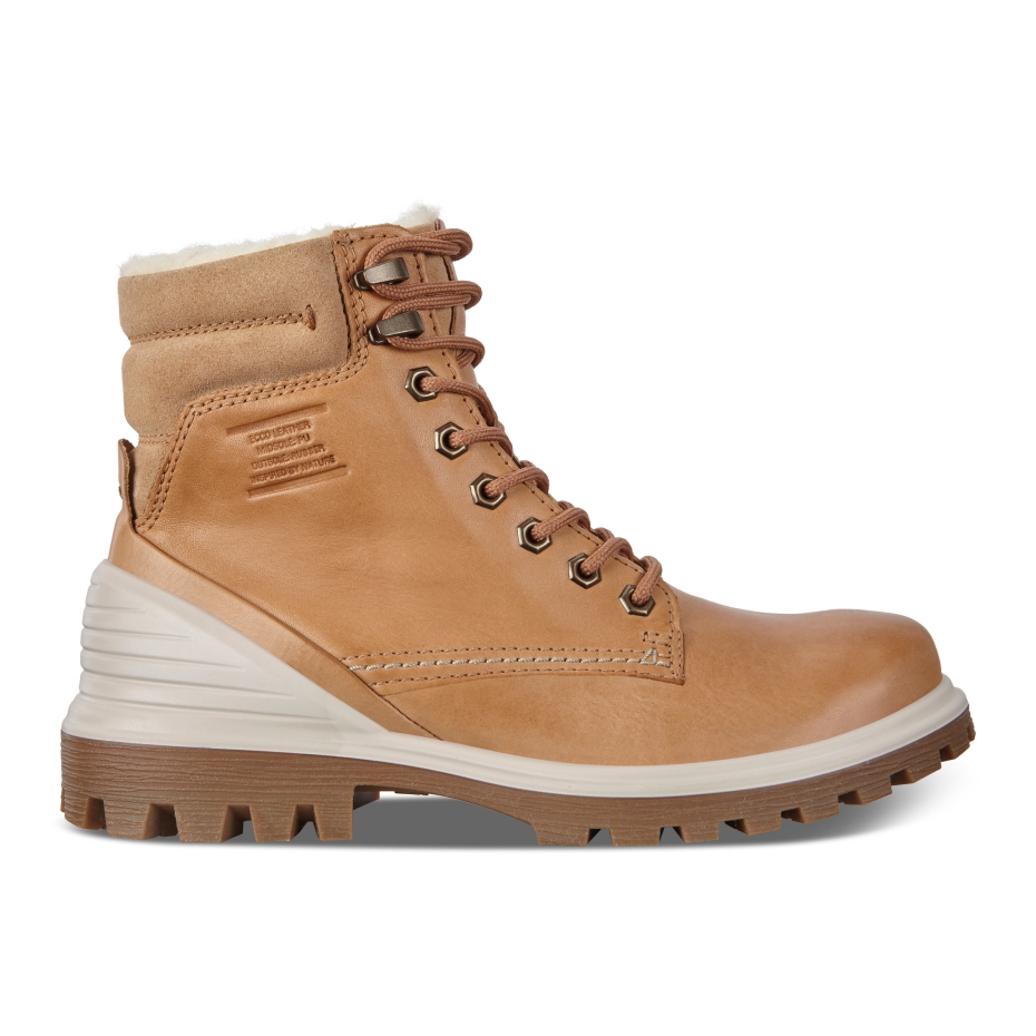 Tredtray W Ecco Volluto Lv