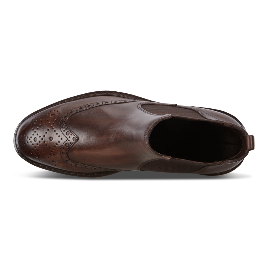 Vitrus I Brown Ecco Lv